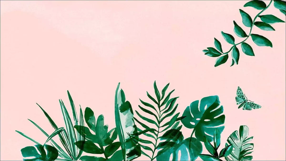 pink and green background wallpaper plant