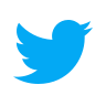 Twitter Bird Blue Icon