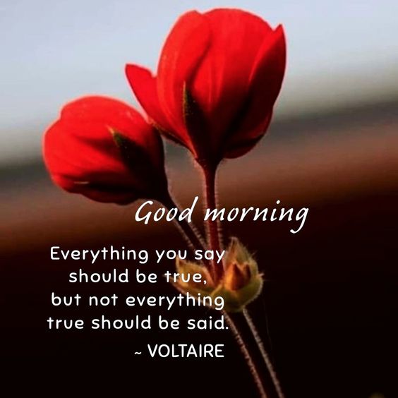 everything-you-say-should-be-true-voltaire-quotes-good-morning