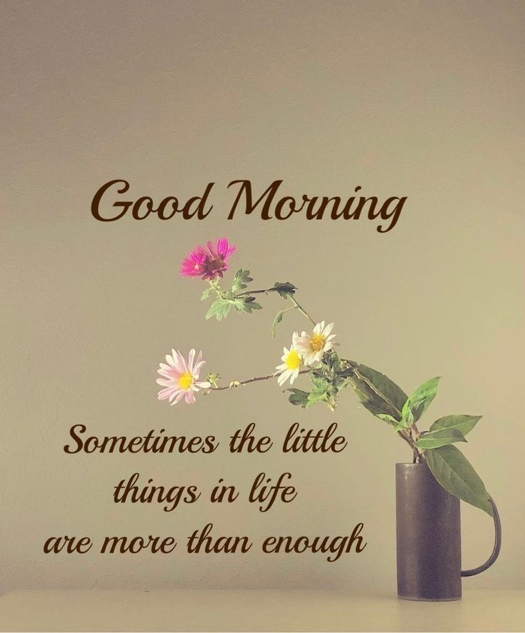 good-morning-flowers-sometimes-the-little-things-in-life-are-more-than-enought