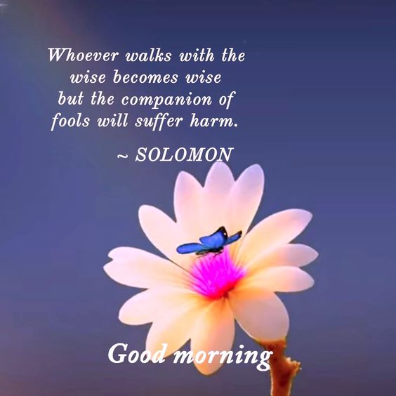 whoever walks with the wise becomes wise soloman quotes good morning