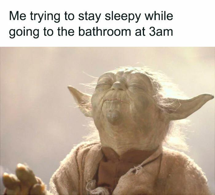 Bathroom Funny Memes