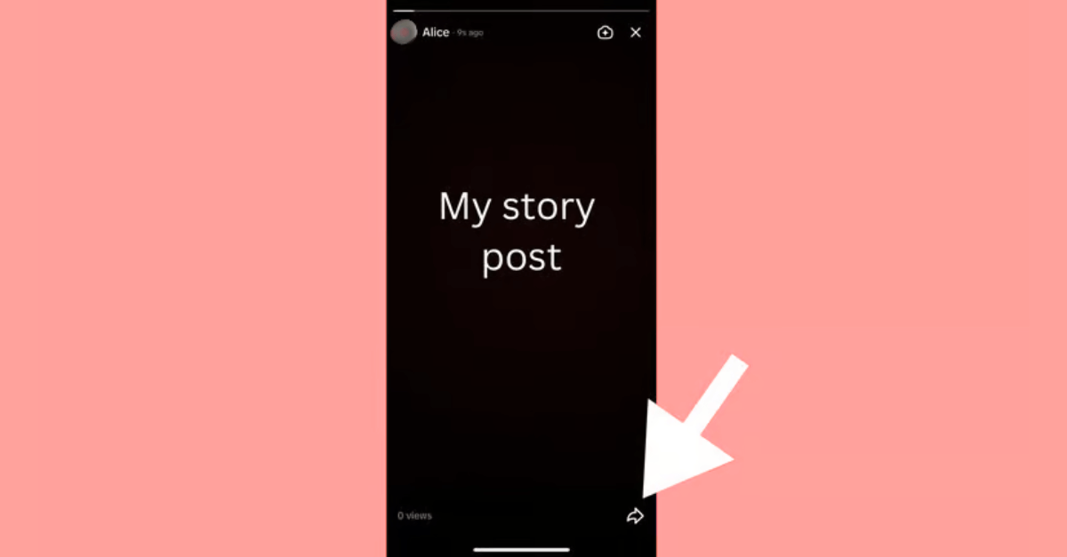 Share TikTok Story